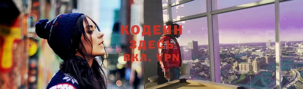 сатива Покачи