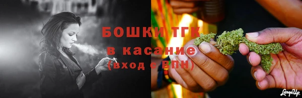 сатива Покачи