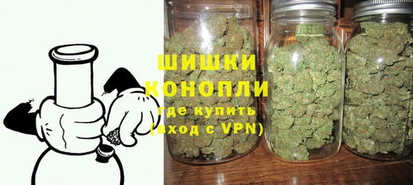 сатива Покачи