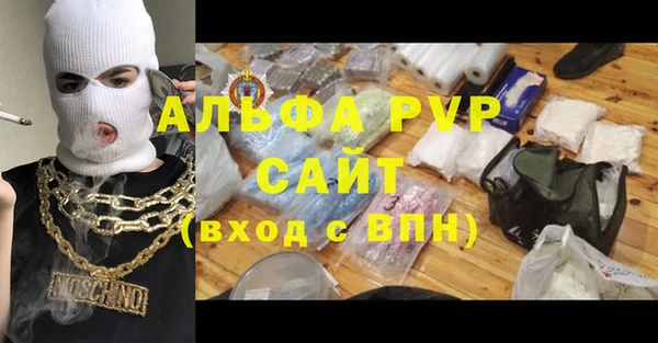 сатива Покачи