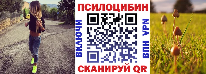 Псилоцибиновые грибы Magic Shrooms  продажа наркотиков  Усть-Джегута 
