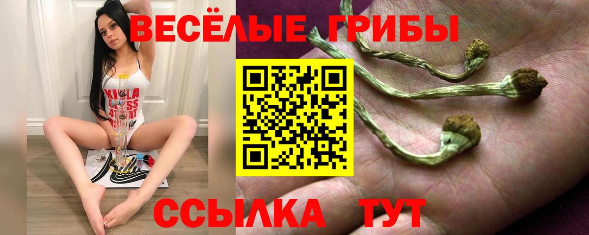 Галлюциногенные грибы прущие грибы  наркошоп  Усть-Джегута  Вход с VPN  Псилоцибиновые грибы Psilocybe 