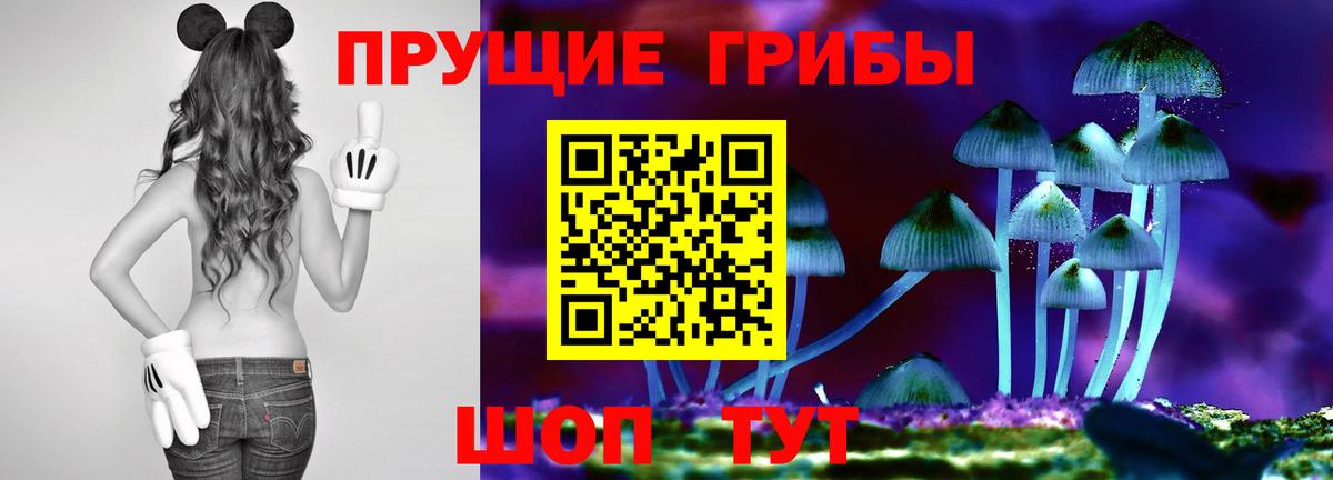 Псилоцибиновые грибы ЛСД Усть-Джегута